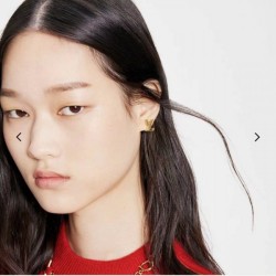 Smart impression 2022 LOUIS VUITTON Louis Vuitton earrings