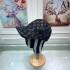 Louis Vuitton LOUIS VUITTON 2022SS Cap / Hat Great for breathability