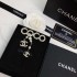 CHANEL 2022 Spring / Summer Featured Brand Recommended Brooch