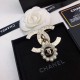 CHANEL 2022 SPRING / SUMMER brooch