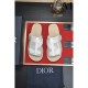 Popular item for fall and winter 2023FW Slippers DIOR Dior