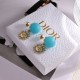 DIOR Dior Spring/Summer Featured Products Carefully Selected 2024SS Earrings