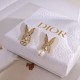 DIOR I want to buy more this year! 2024SS earrings