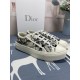 DIOR 2024FW Women's Casual Shoes This season has a fashionable feel