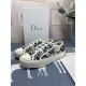 DIOR 2024FW Women's Casual Shoes This season has a fashionable feel