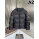 2024FW LOUIS VUITTON Louis Vuitton Inexpensive & High Quality Men's Down Jacket