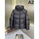 2024FW LOUIS VUITTON Low price high quality men's down jacket