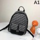 2024SS Sale Price New DIOR Backpack