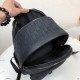 2024SS Sale Price New DIOR Backpack