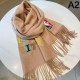 2024FW scarf LOUIS VUITTON Louis Vuitton is extremely popular