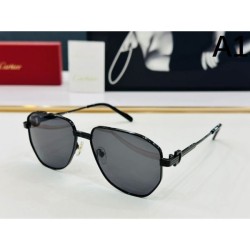 2024FW Sunglasses CARTIER Cartier Relaxed item