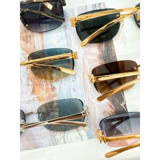 2024FW Sunglasses CARTIER Only one item available! VIP customer sale