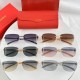 2024FW Sunglasses CARTIER Cartier Popular brand this season too